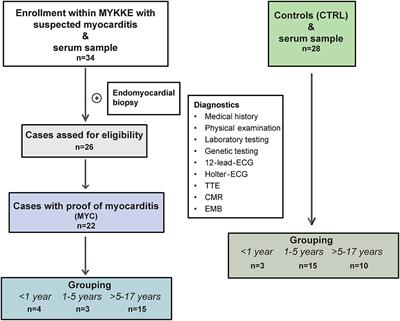 Compensatory Upregulation of Anti-Beta-Adrenergic Receptor Antibody Levels Might Prevent Heart Failure Presentation in Pediatric Myocarditis